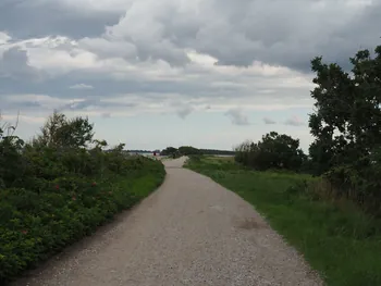 Halshuisene + Enebaerodde Beach (Denemarken)